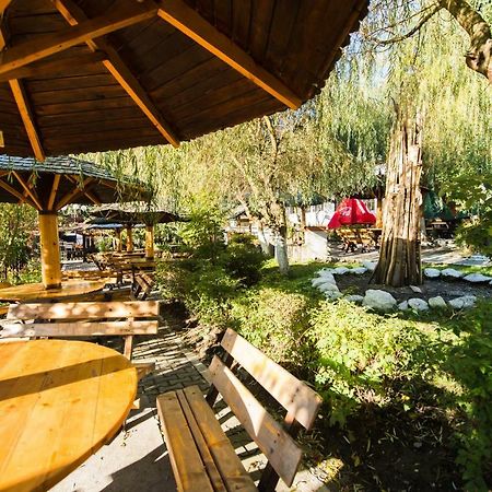 Gura Diham Hotel Busteni Bagian luar foto