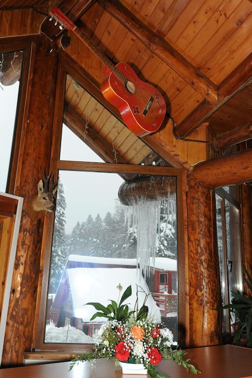 Gura Diham Hotel Busteni Bagian luar foto